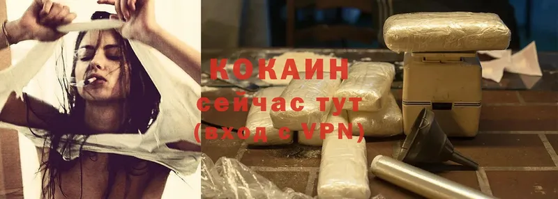 Кокаин FishScale  купить закладку  OMG маркетплейс  Ужур 