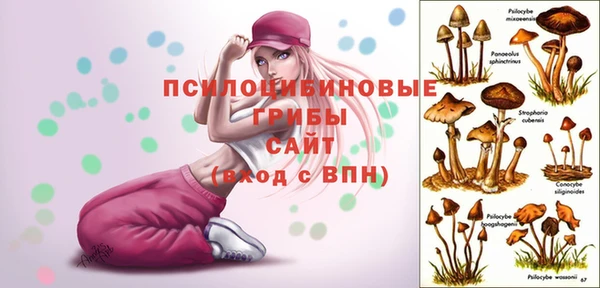 шишки Волоколамск